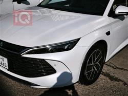 بي واي دي كوين L DM-i